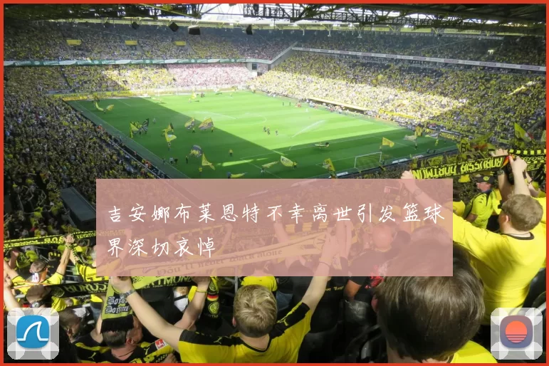 吉安娜布莱恩特不幸离世引发篮球界深切哀悼