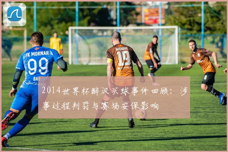 2014世界杯醉汉买球事件回顾:涉事过程判罚与赛场安保影响